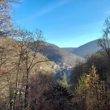 فندق Silbertanne Hohegeiß