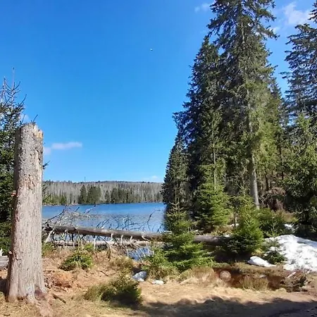 Silbertanne Hotel Hohegeiß
