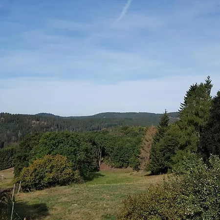 Silbertanne Hohegeiß