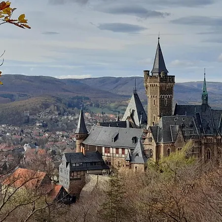 فندق Silbertanne