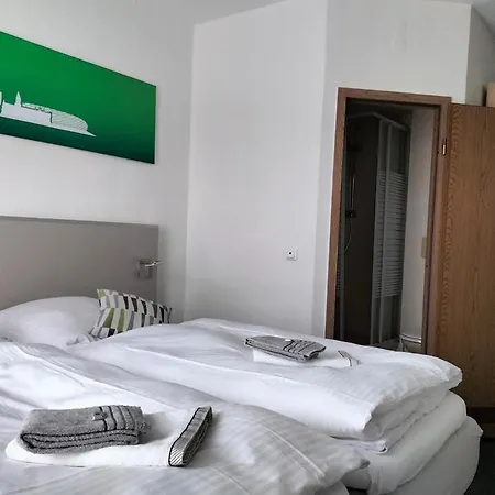 Silbertanne Hohegeiß