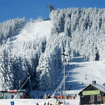 Silbertanne 3* Hohegeiß
