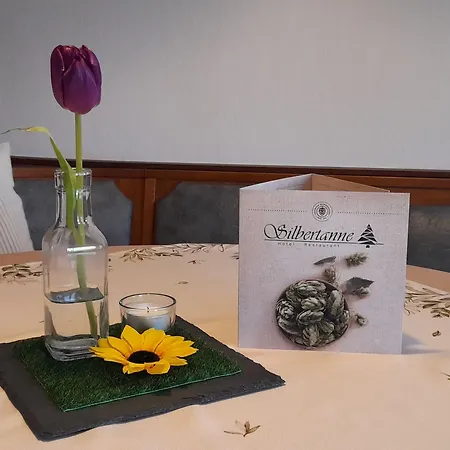 Silbertanne 3* Hohegeiß