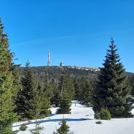 Silbertanne 3* Hohegeiß
