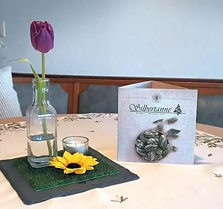 Silbertanne Hotel Hohegeiß