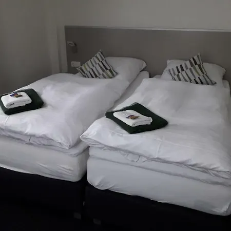 Silbertanne Hohegeiß